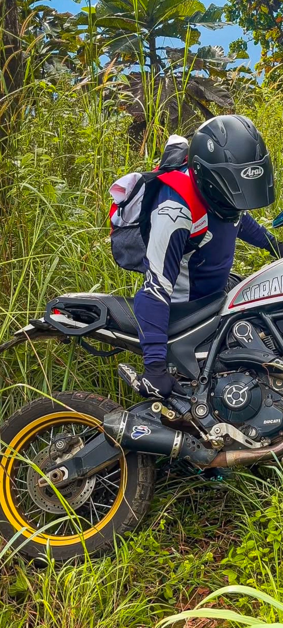 Ducati desert sled saddle stay